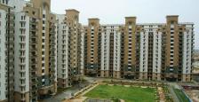 Semi Furnished Residential Apartment For Sale In Orchid Petals Sohna Road Gurgaon
